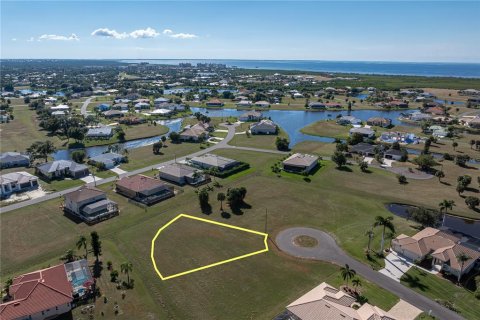 Land in Punta Gorda, Florida № 2158762 - photo 7