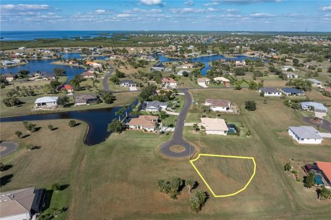 Land in Punta Gorda, Florida № 2158762 - photo 10