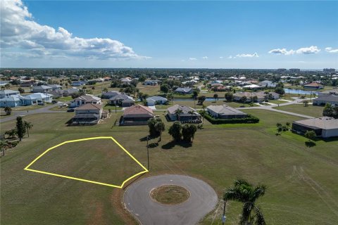 Land in Punta Gorda, Florida № 2158762 - photo 3