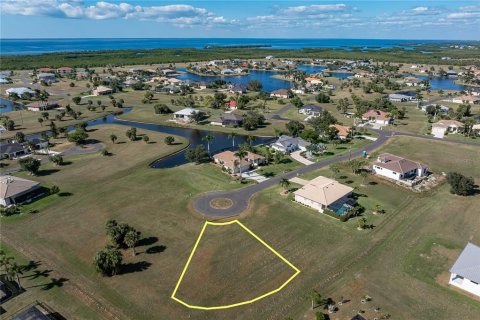 Land in Punta Gorda, Florida № 2158762 - photo 9