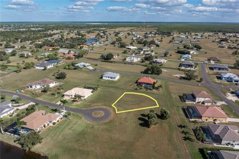 Land in Punta Gorda, Florida № 2158762 - photo 12