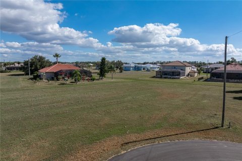 Land in Punta Gorda, Florida № 2158762 - photo 2