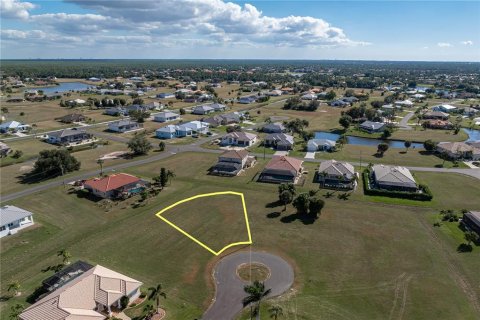 Land in Punta Gorda, Florida № 2158762 - photo 5