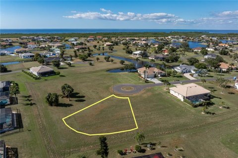 Land in Punta Gorda, Florida № 2158762 - photo 16