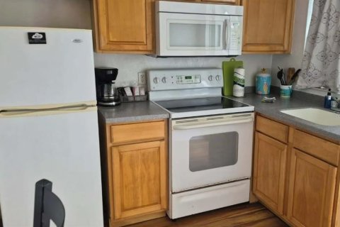 Hôtel, hôtellerie à vendre à Daytona Beach, Floride: 536.14 m2 № 2219464 - photo 5