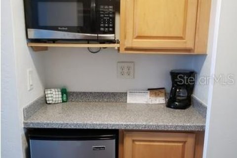 Hôtel, hôtellerie à vendre à Daytona Beach, Floride: 536.14 m2 № 2219464 - photo 9