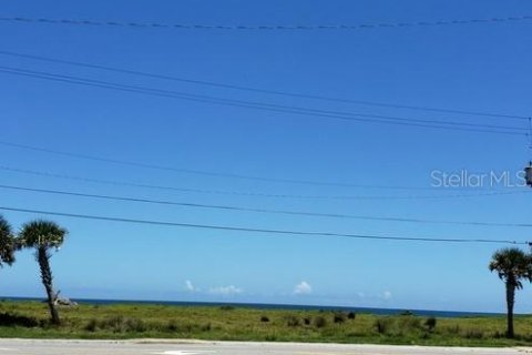 Hôtel, hôtellerie à vendre à Daytona Beach, Floride: 536.14 m2 № 2219464 - photo 15