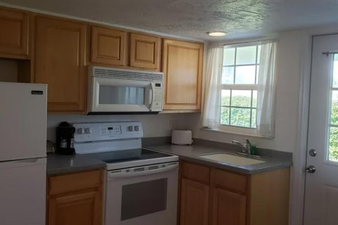 Hôtel, hôtellerie à vendre à Daytona Beach, Floride: 536.14 m2 № 2219464 - photo 11