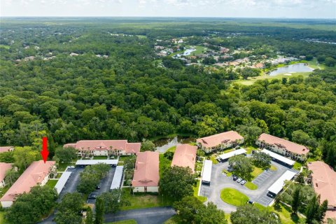 Condo in Palm Harbor, Florida, 2 bedrooms  № 1873019 - photo 25