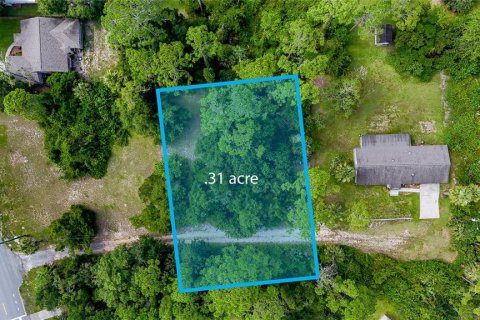 Terreno en venta en Flagler Beach, Florida № 1900496 - foto 5