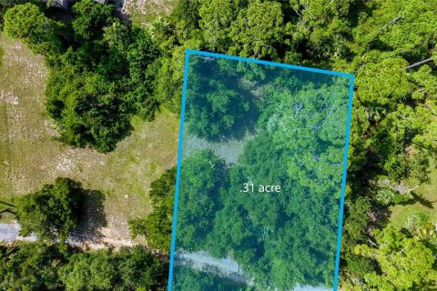 Terreno en venta en Flagler Beach, Florida № 1900496 - foto 6