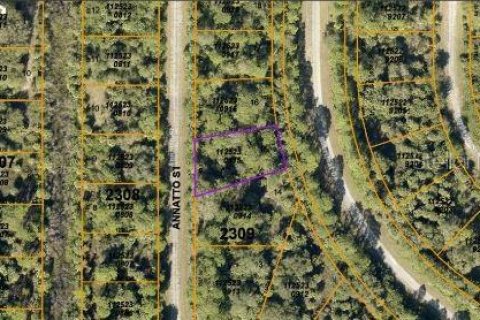 Land in North Port, Florida № 2164870 - photo 3