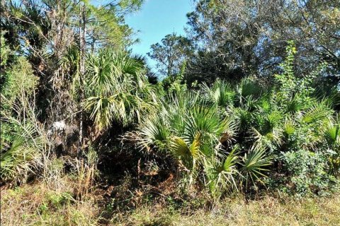Land in North Port, Florida № 2164870 - photo 2