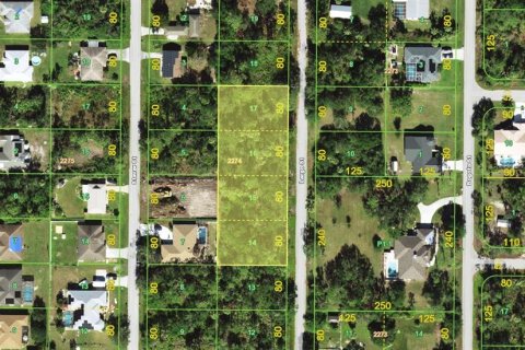 Terrain à Punta Gorda, Floride № 2108888