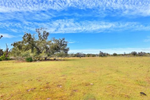 Terrain à vendre à Wimauma, Floride № 2128259 - photo 4