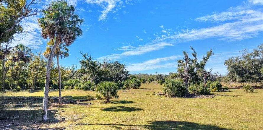Terrain à Wimauma, Floride № 2128259