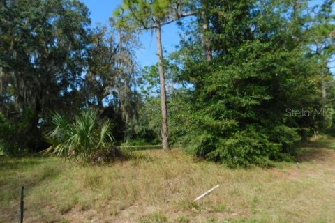 Terreno en venta en Dade City, Florida № 226150 - foto 1
