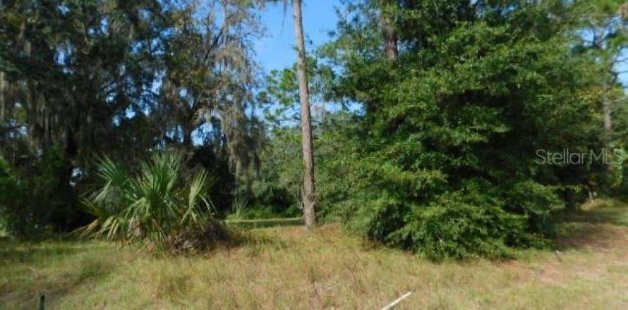 Terreno en Dade City, Florida № 226150