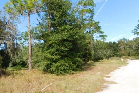 Terreno en venta en Dade City, Florida № 226150 - foto 9