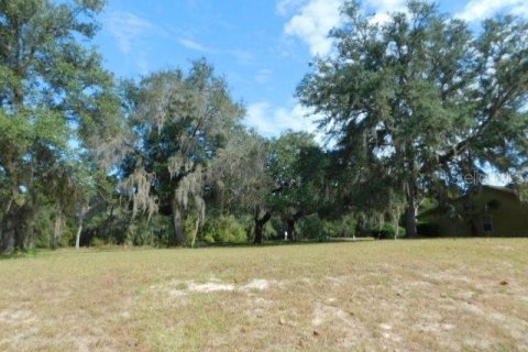 Terreno en venta en Dade City, Florida № 226150 - foto 6