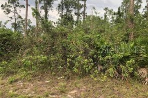 Land in Okeechobee, Florida № 2108164