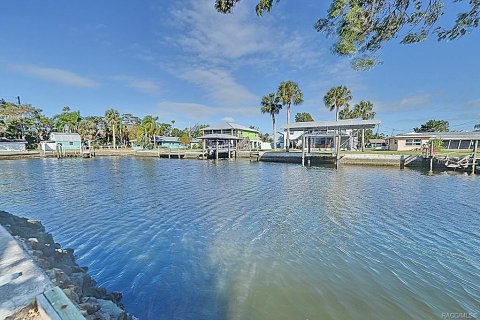 House in Crystal River, Florida 4 bedrooms, 284.28 sq.m. № 1433757 - photo 3