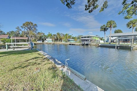 House in Crystal River, Florida 4 bedrooms, 284.28 sq.m. № 1433757 - photo 21