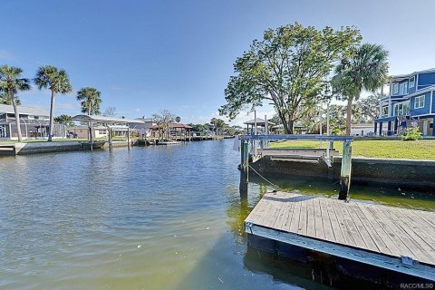 House in Crystal River, Florida 4 bedrooms, 284.28 sq.m. № 1433757 - photo 30