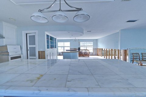 House in Crystal River, Florida 4 bedrooms, 284.28 sq.m. № 1433757 - photo 14