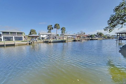 House in Crystal River, Florida 4 bedrooms, 284.28 sq.m. № 1433757 - photo 2