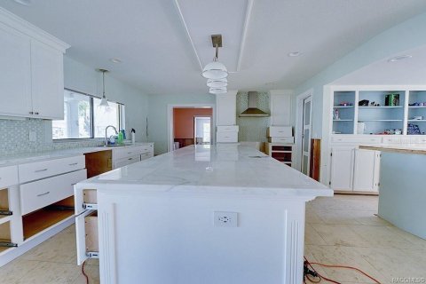House in Crystal River, Florida 4 bedrooms, 284.28 sq.m. № 1433757 - photo 13