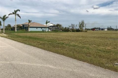 Land in Cape Coral, Florida № 223642 - photo 7