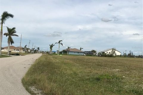 Land in Cape Coral, Florida № 223642 - photo 9