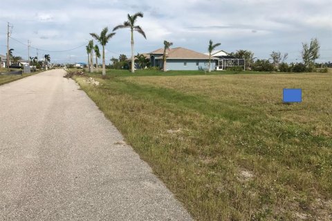Land in Cape Coral, Florida № 223642 - photo 11