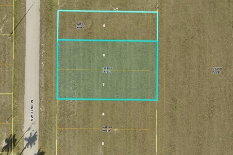 Land in Cape Coral, Florida № 223642 - photo 1