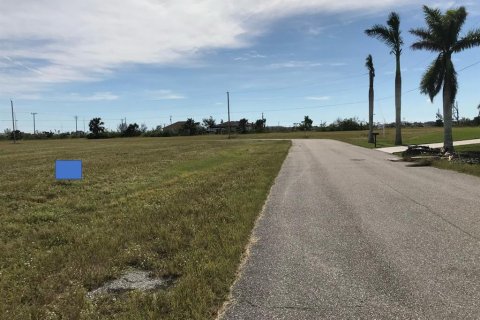 Land in Cape Coral, Florida № 223642 - photo 10