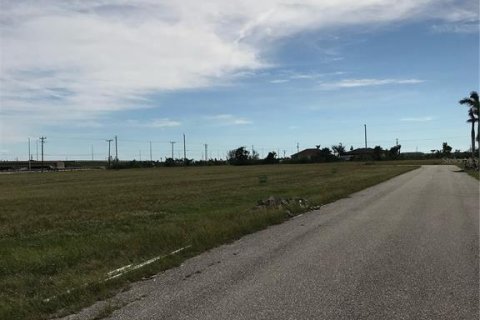 Land in Cape Coral, Florida № 223642 - photo 8