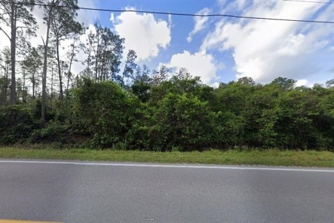 Terreno en venta en Polk City, Florida № 2202866 - foto 2