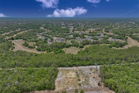 Terreno en venta en Ocala, Florida № 2138985 - foto 11