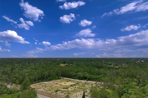 Terreno en venta en Ocala, Florida № 2138985 - foto 4