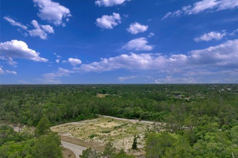 Terreno en venta en Ocala, Florida № 2138985 - foto 5