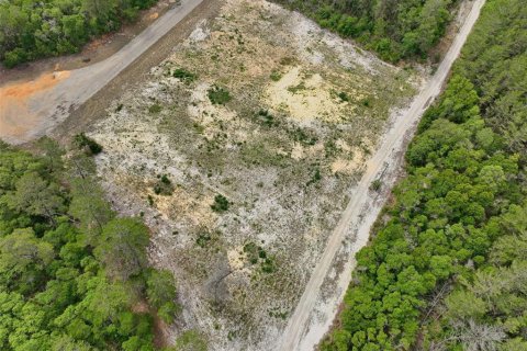 Terreno en venta en Ocala, Florida № 2138985 - foto 16