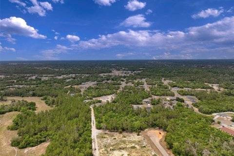 Terreno en venta en Ocala, Florida № 2138985 - foto 7
