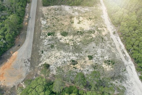 Terreno en venta en Ocala, Florida № 2138985 - foto 15