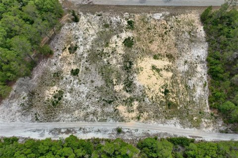 Terreno en venta en Ocala, Florida № 2138985 - foto 14