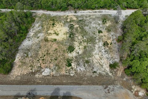 Terreno en venta en Ocala, Florida № 2138985 - foto 13