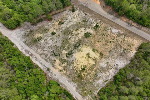 Terreno en venta en Ocala, Florida № 2138985 - foto 17