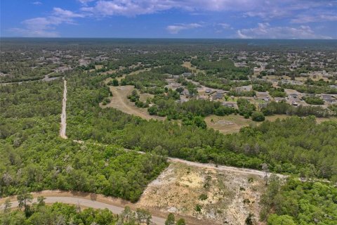 Terreno en venta en Ocala, Florida № 2138985 - foto 10