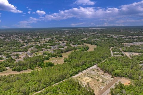 Terreno en venta en Ocala, Florida № 2138985 - foto 9