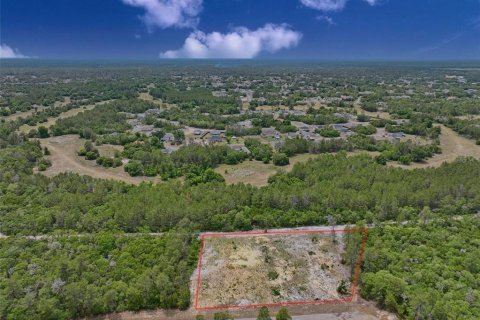 Terrain à Ocala, Floride № 2138985